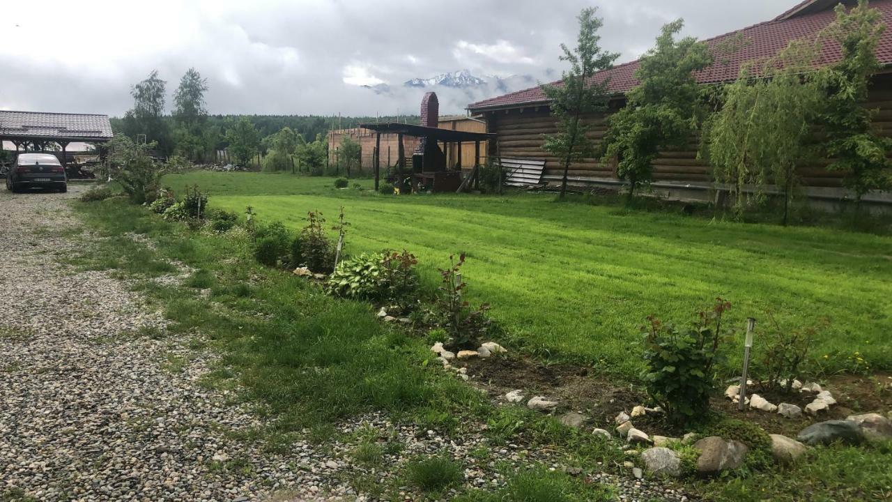 Hotel Casa Albert Valea Avrigului Zewnętrze zdjęcie