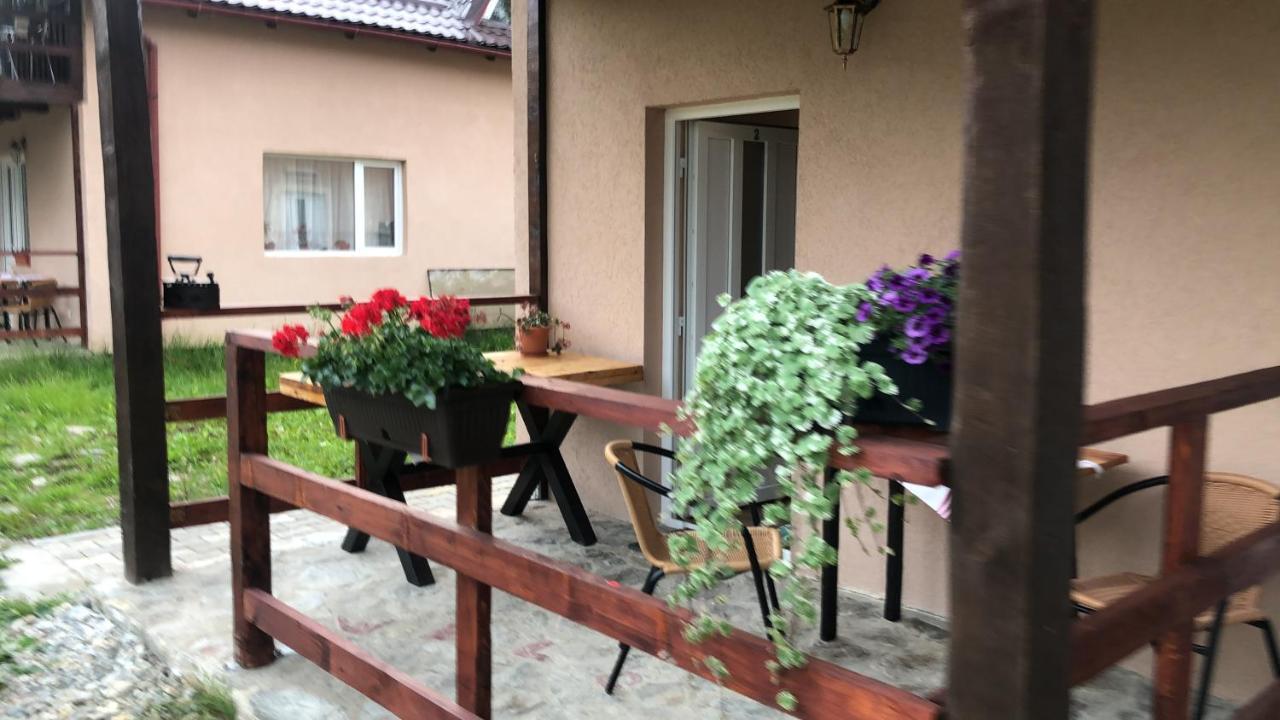 Casa Albert Valea Avrigului Zewnętrze zdjęcie