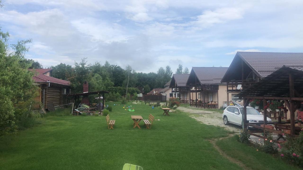 Casa Albert Valea Avrigului Zewnętrze zdjęcie